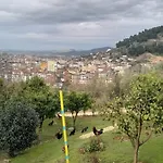 Bujtina Musta 1 * Berat