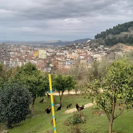 Bujtina Musta 1 * Berat