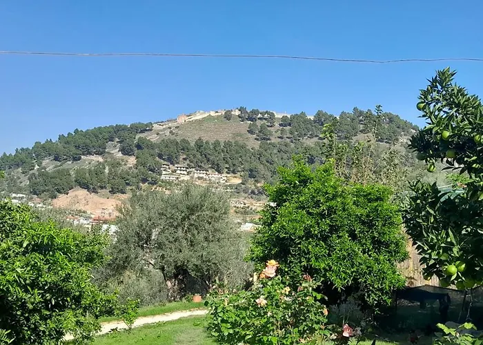 Tatil parkı Vila Musta Berat
