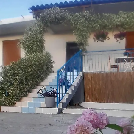 Bujtina Musta Relax Village de vacances