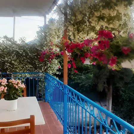 Parco vacanze Bujtina Musta Relax