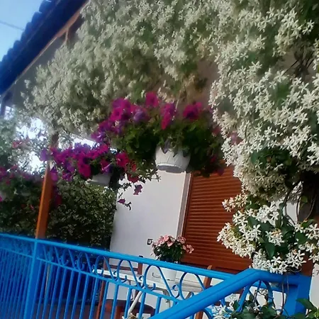 Bujtina Musta Relax