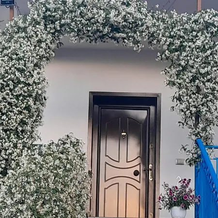 Bujtina Musta Relax Berat